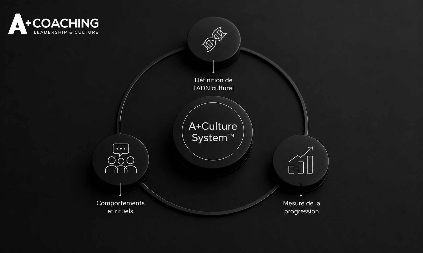 Schéma A+Culture System™, ADN culturel, comportements, mesure
